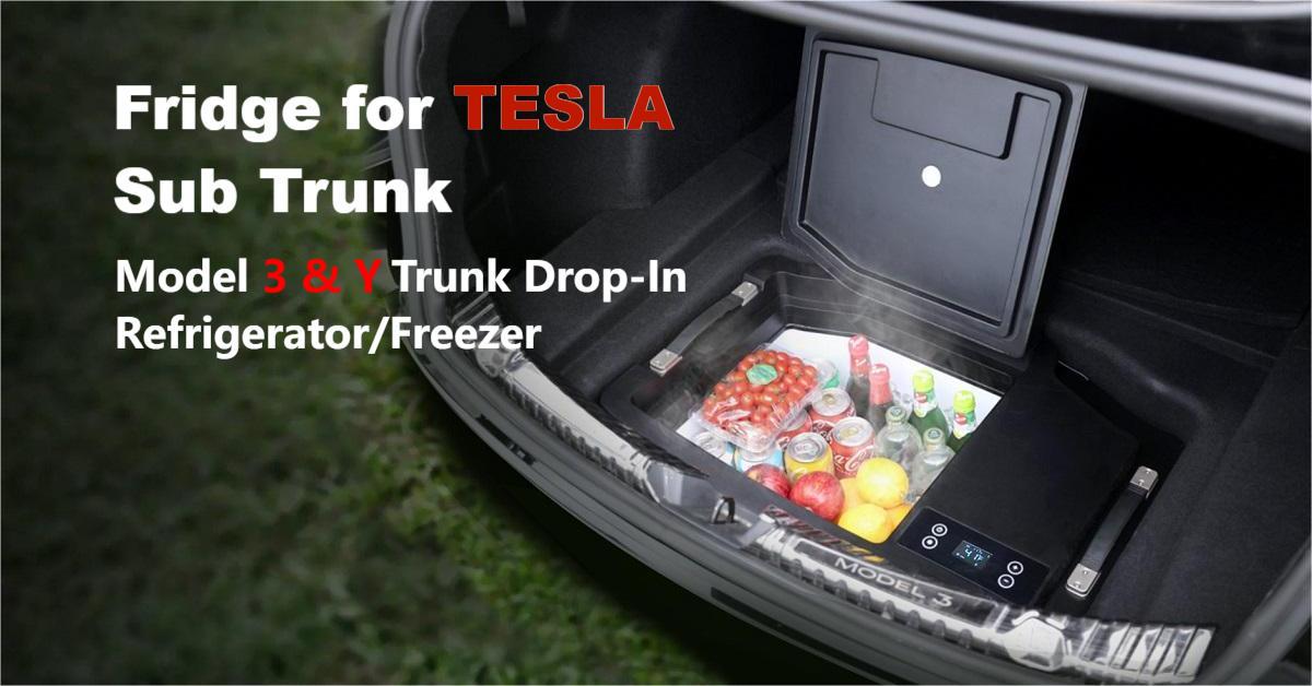 Shops tesla refrigerator